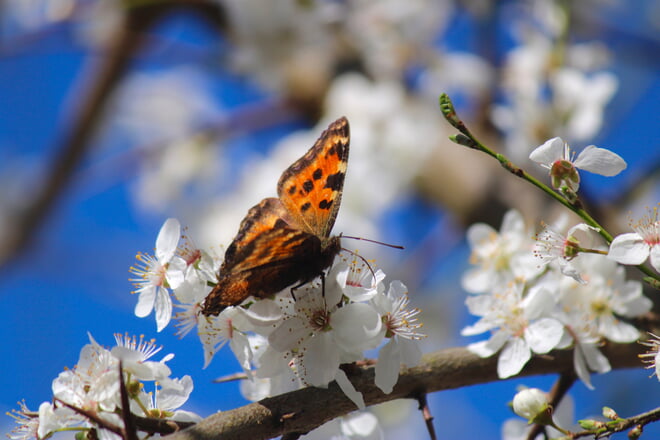 Herzlich willkommen auf der Website f&uuml;r den evangelischen Religionsunterricht in W&uuml;rttemberg!