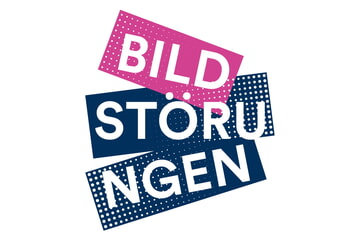 Link zur Website des Projekts "Bildstörungen"